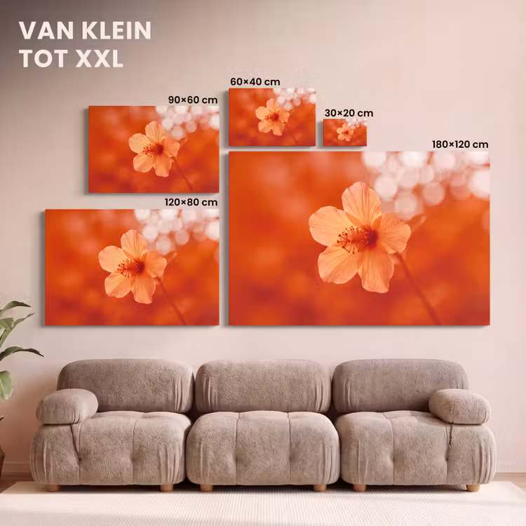 Canvas schilderij - Oranje bloem - Macro — 8