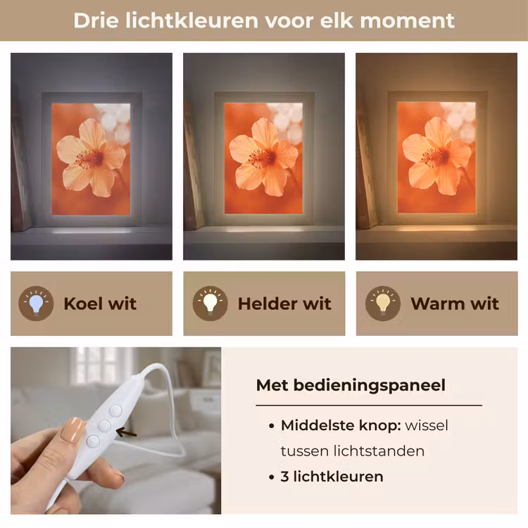 Gepersonaliseerde Lightbox - Oranje bloem - Macro — 6