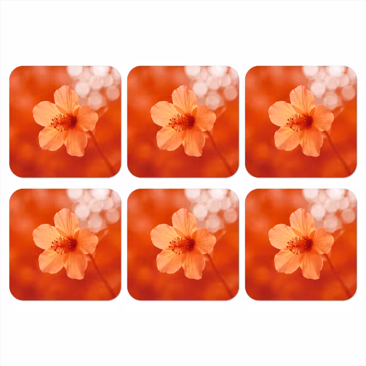 Onderzetter - Oranje bloem - Macro — 1