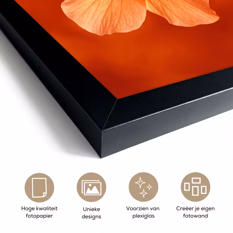 Poster met lijst - Oranje bloem - Macro — 6