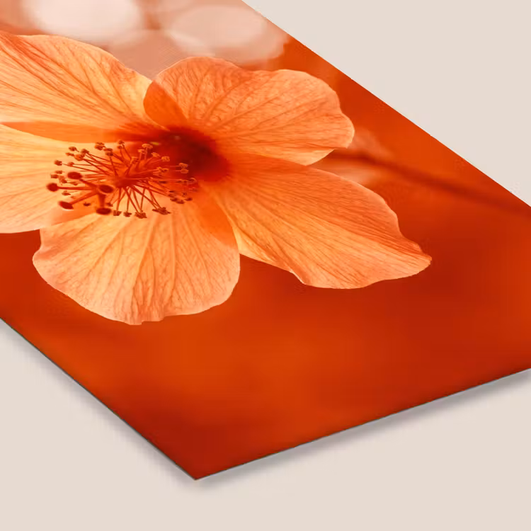 Poster met lijst - Oranje bloem - Macro — 7