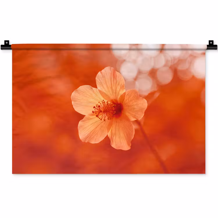 Wandkleed - Oranje bloem - Macro — 1