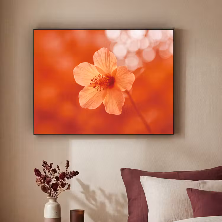 Art Frame - Oranje bloem - Macro — 3