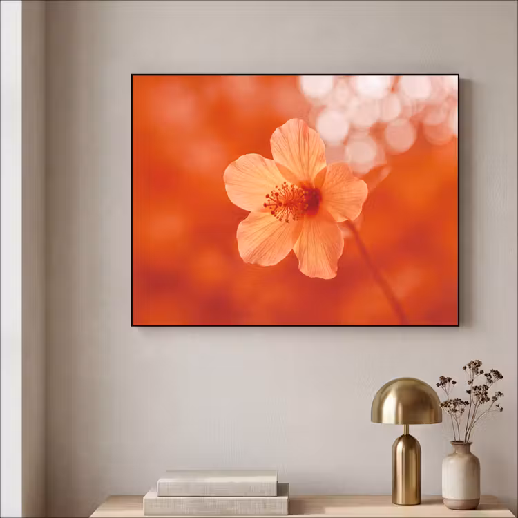 Art Frame - Oranje bloem - Macro — 5