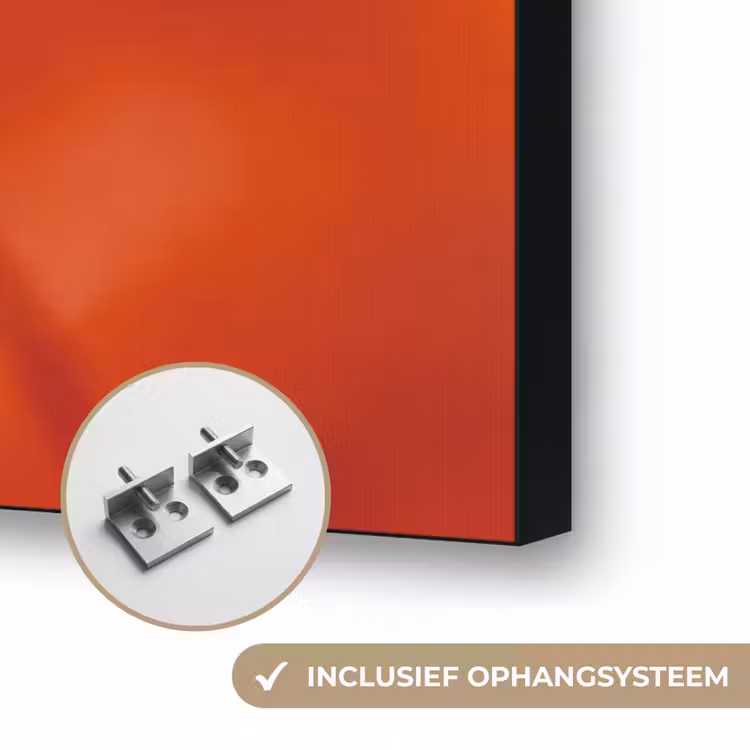 Art Frame - Oranje bloem - Macro — 6