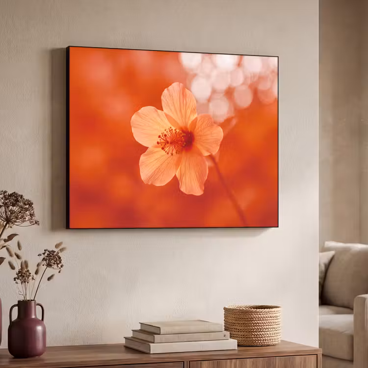 Art Frame - Oranje bloem - Macro — 7