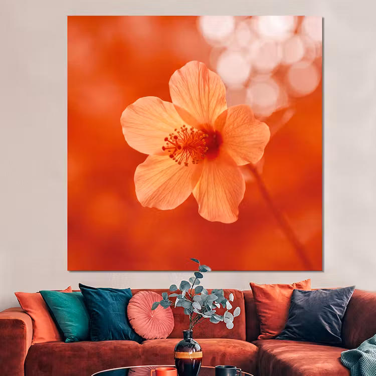 Forex - Oranje bloem - Macro — 3