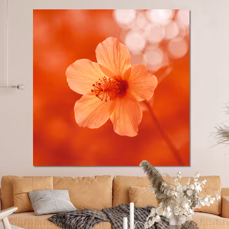 Forex - Oranje bloem - Macro — 4