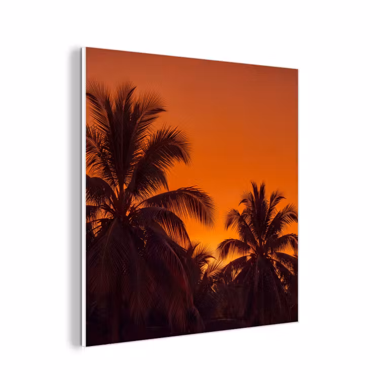 Forex - Palmen - Zonsondergang - Oranje — 1