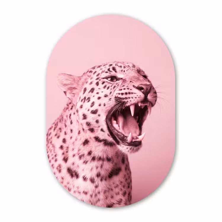Muurovaal aluminium - Roze kat - Modern — 1