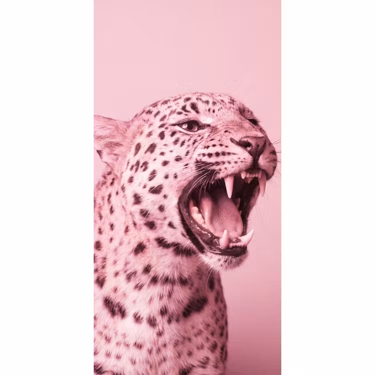 Behang - Roze kat - Modern β 2