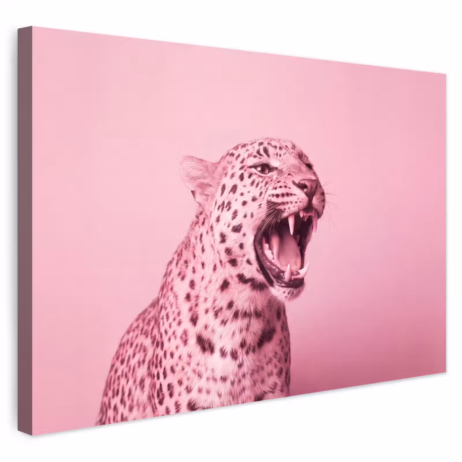 Buiten canvas - Roze kat - Modern — 1