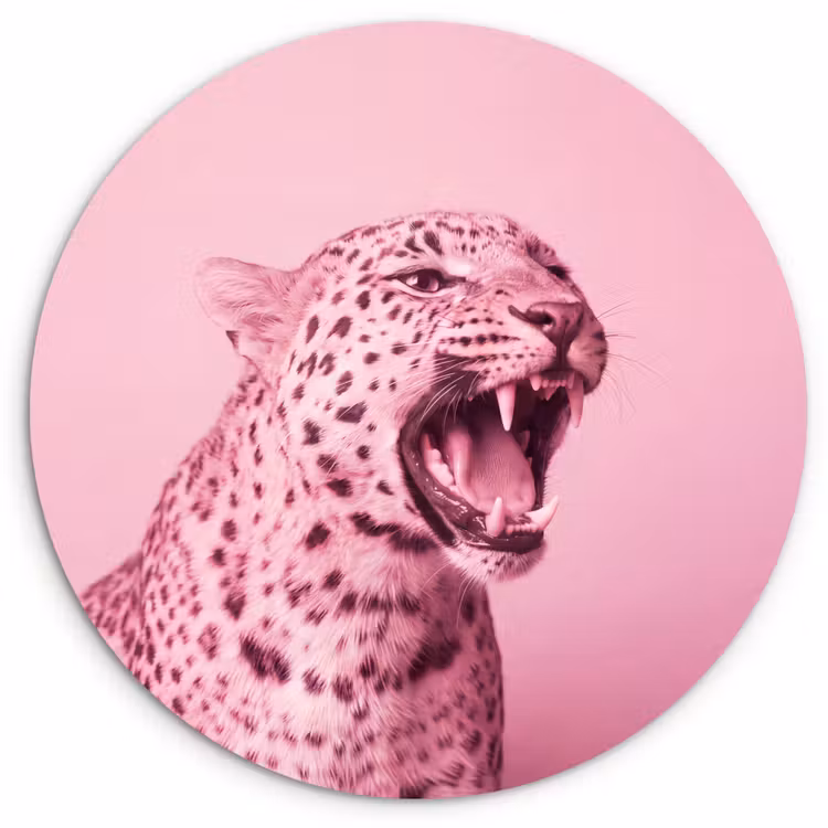 Muurcirkel - Roze kat - Modern — 1