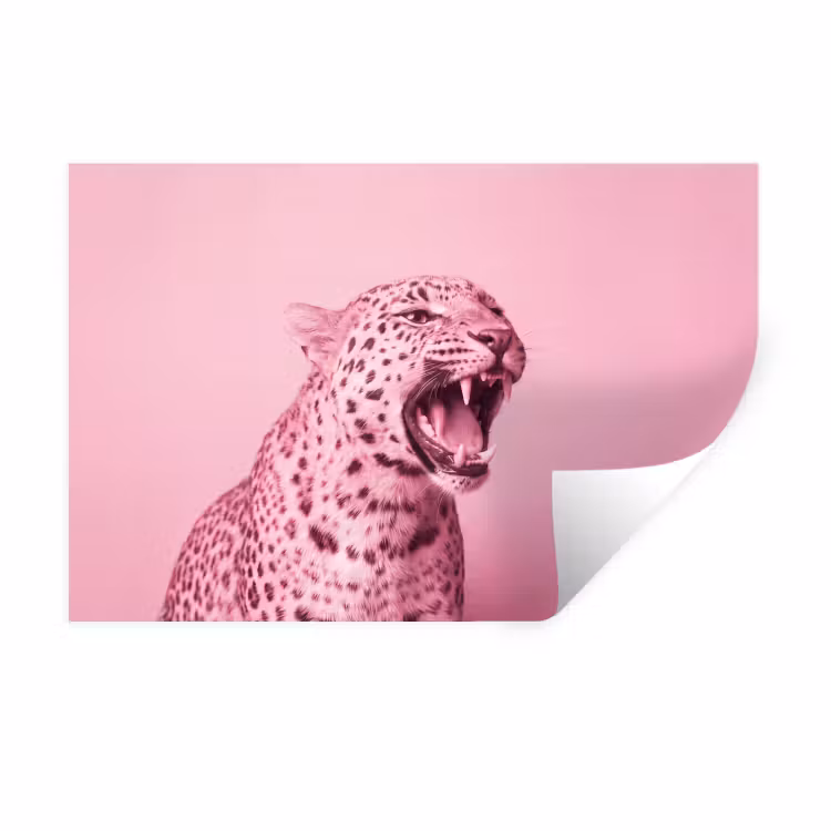 Muursticker - Roze kat - Modern — 1