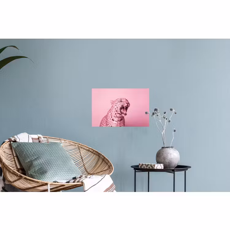 Muursticker - Roze kat - Modern — 4