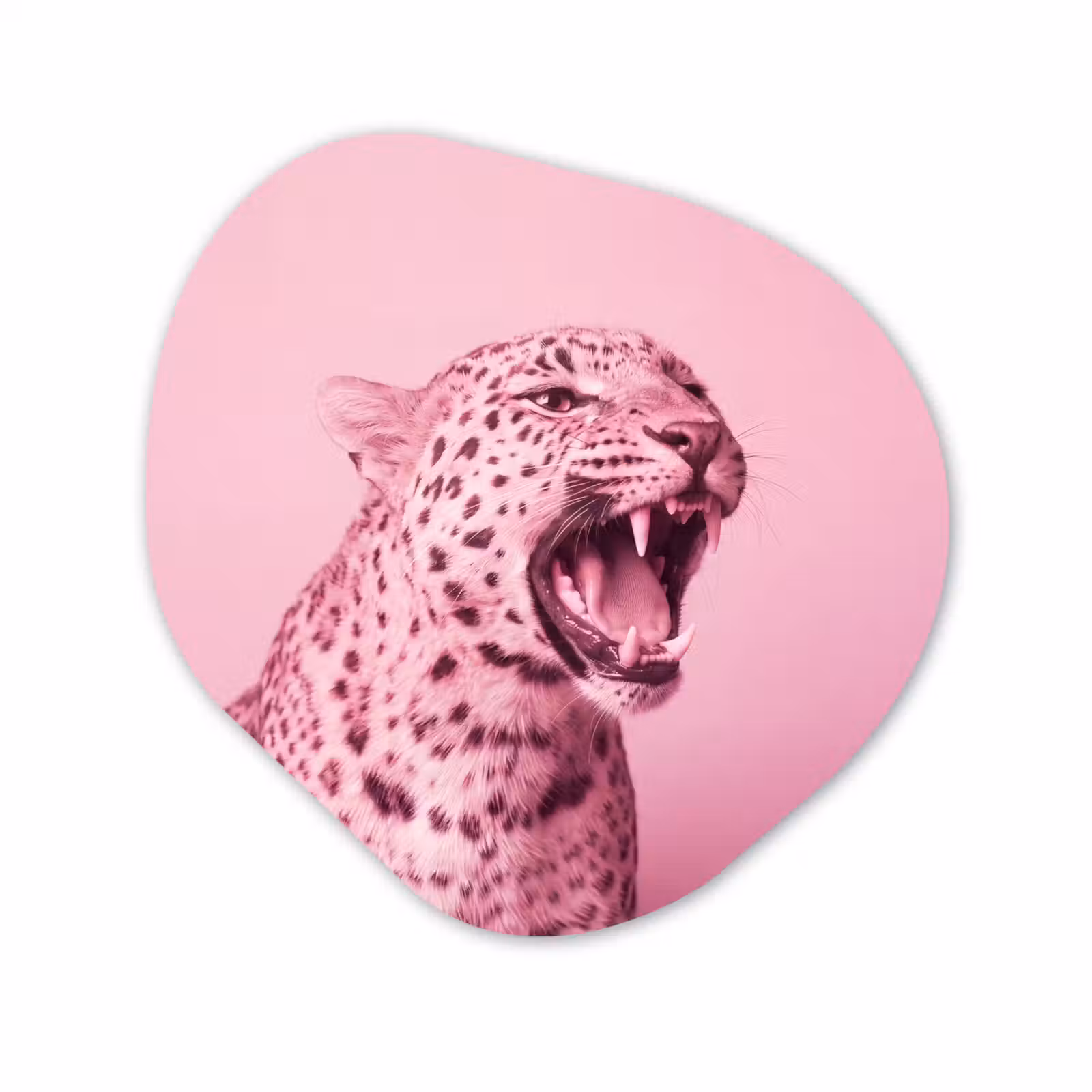 Organisch schilderij - Forex - Roze kat - Modern — 1