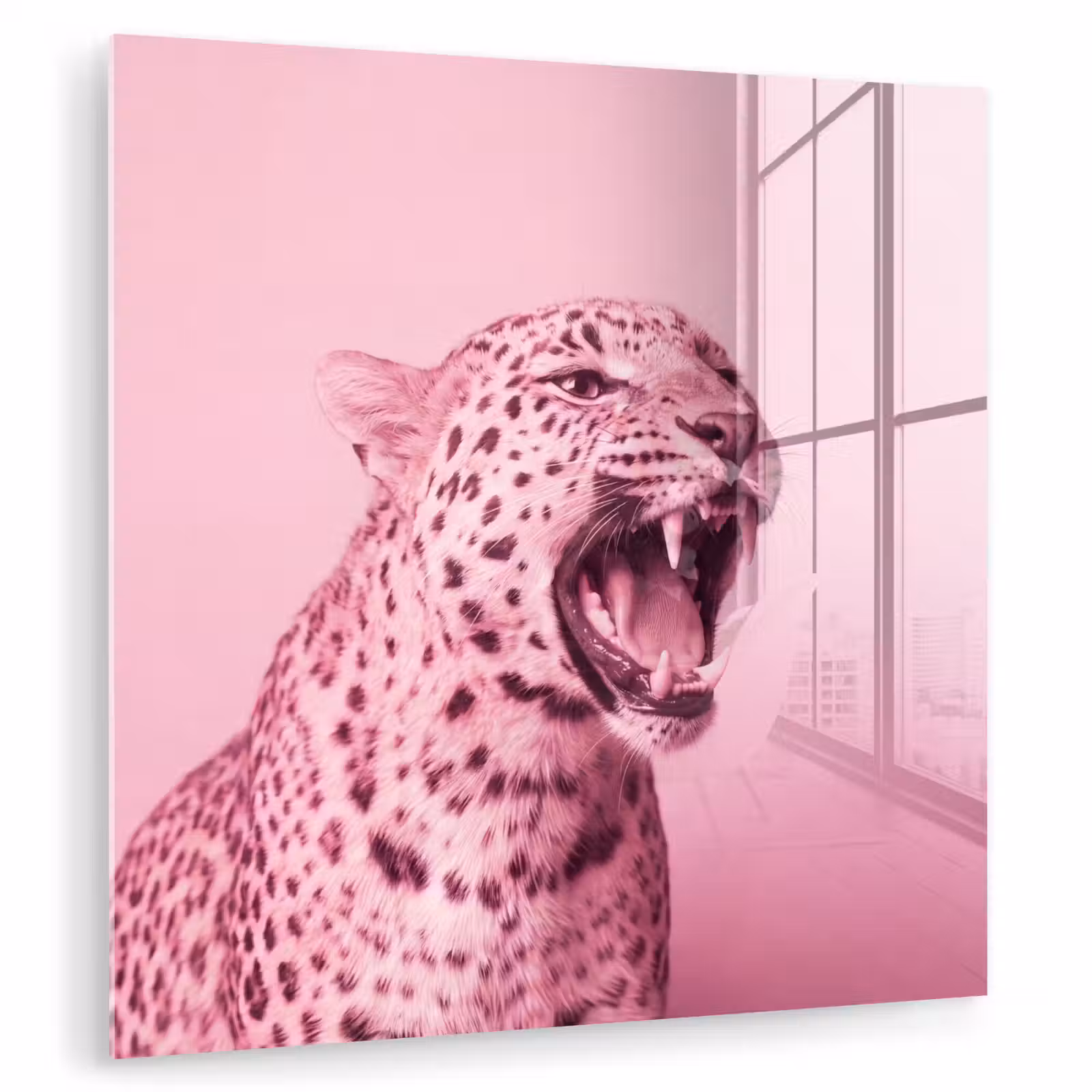 Glas schilderij - Roze kat - Modern — 1