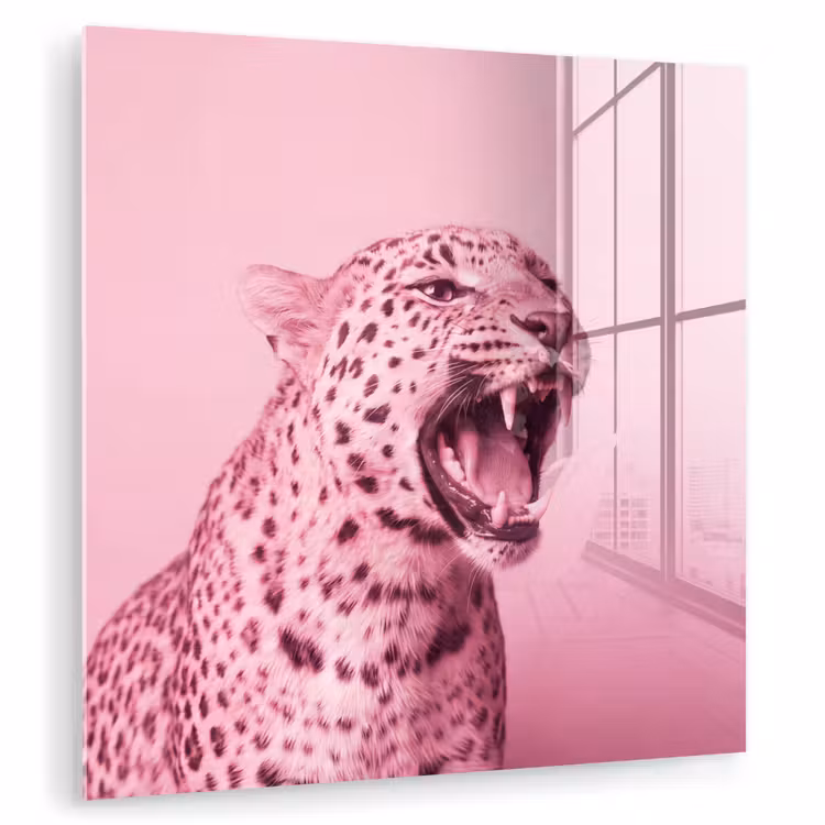 Glas schilderij - Roze kat - Modern — 1
