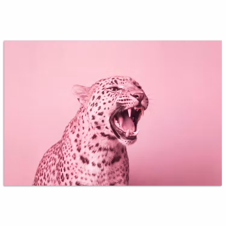 Poster - Roze kat - Modern — 1
