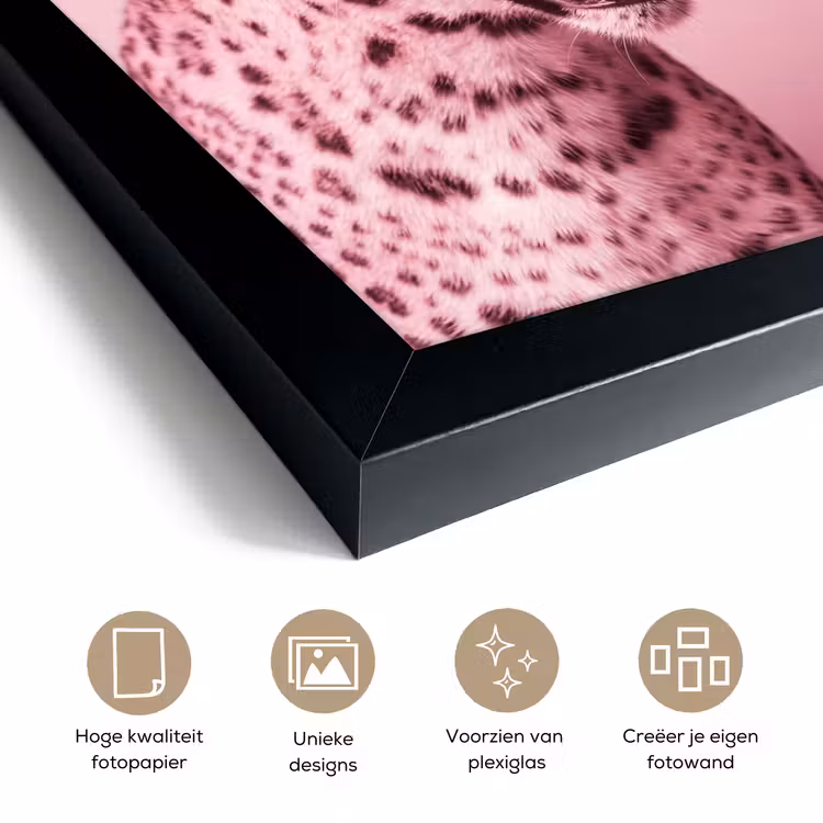 Poster met lijst - Roze kat - Modern — 6