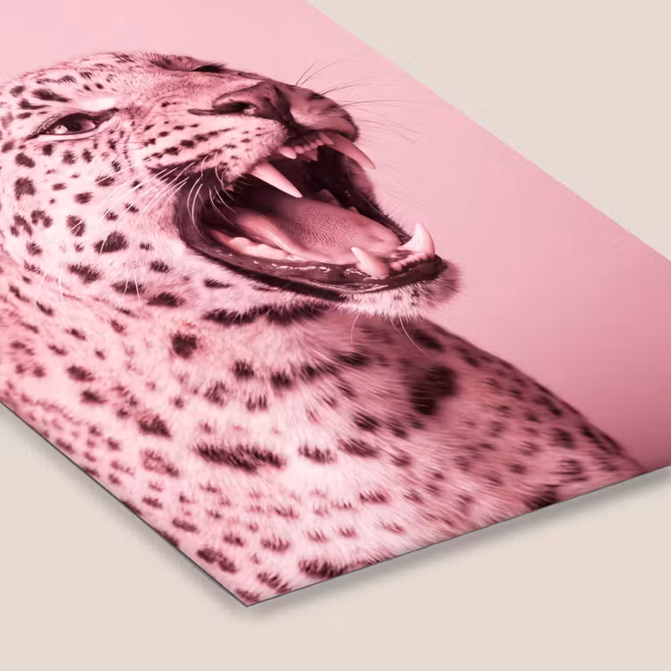 Poster met lijst - Roze kat - Modern — 7