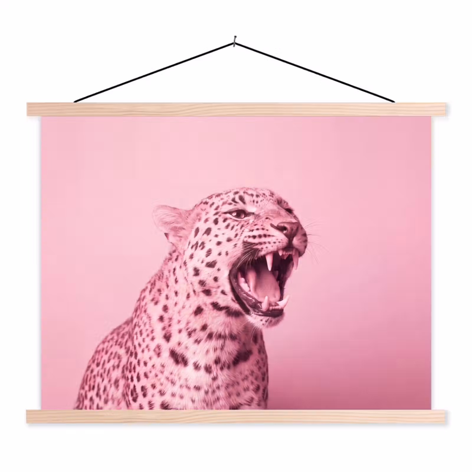 Schoolplaat - Roze kat - Modern — 1