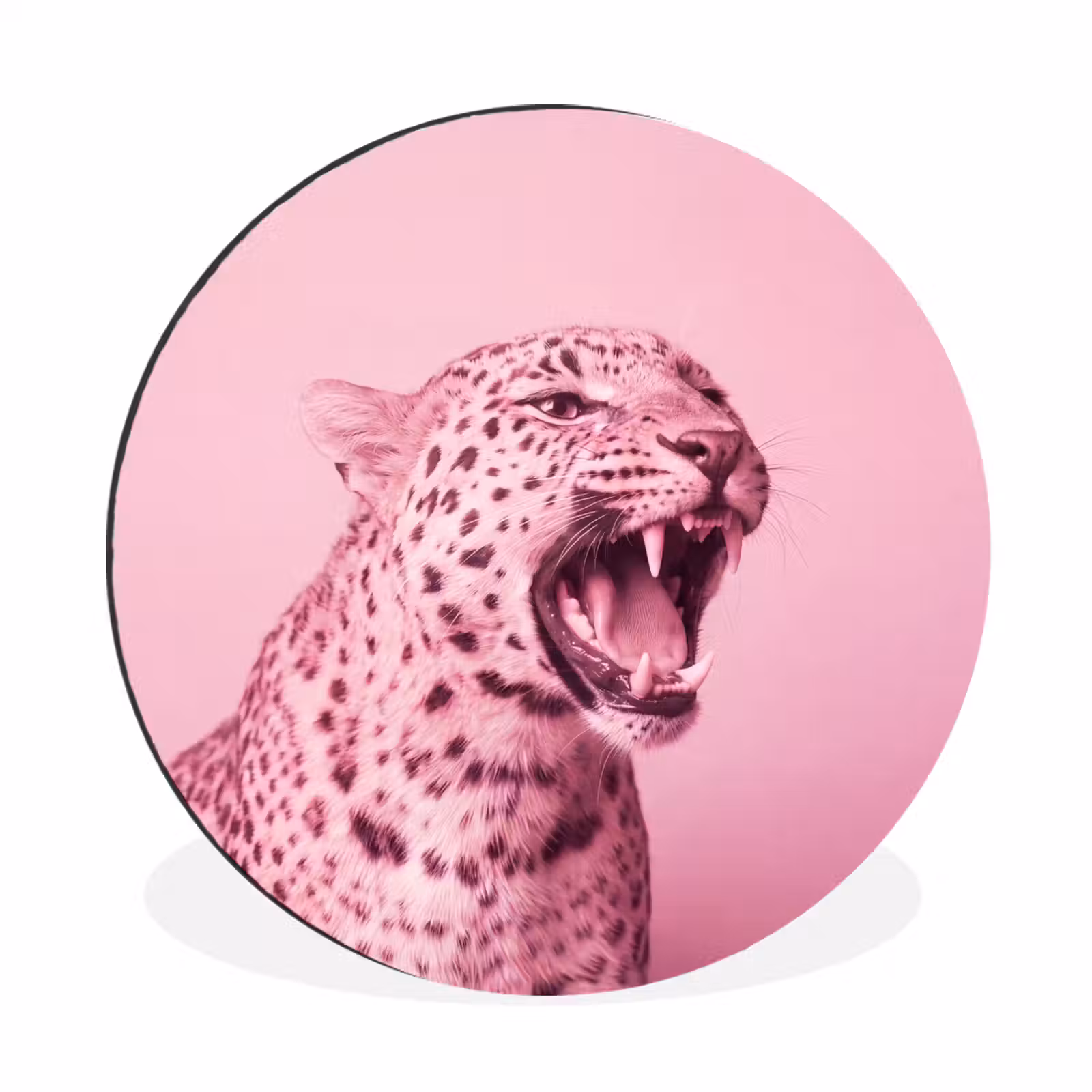 Wandcirkel - Aluminium - Roze kat - Modern — 1