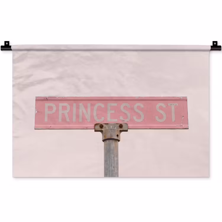 Wandkleed - Roze straatnaambord - Stad — 1