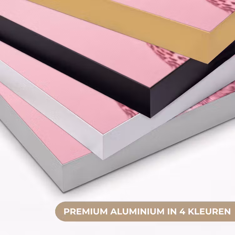 Art Frame - Roze kat - Modern — 2
