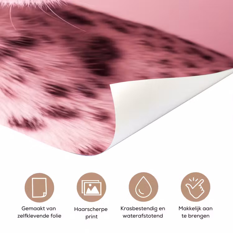 Deursticker - Roze kat - Modern — 3