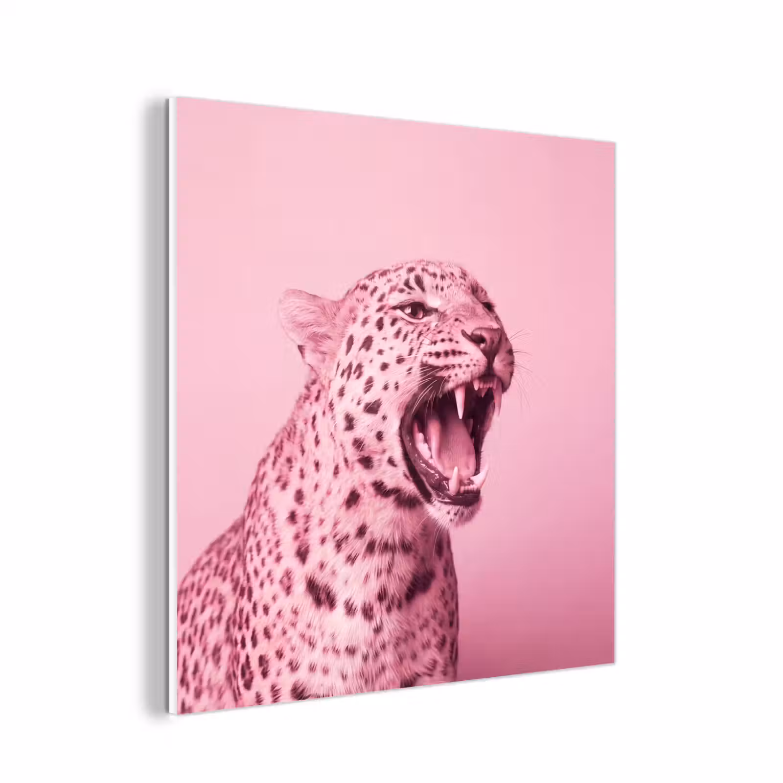 Forex - Roze kat - Modern — 1