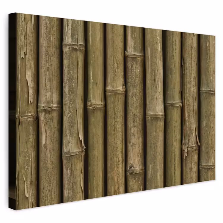 Buiten canvas - Bamboe - Stengels - Natuur — 1