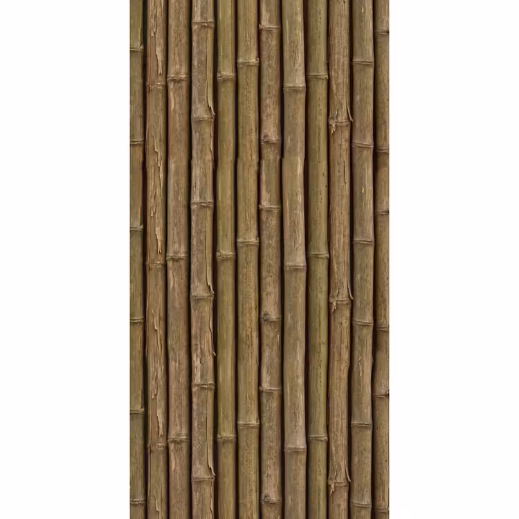 Behang - Bamboe - Stengels - Natuur β 2