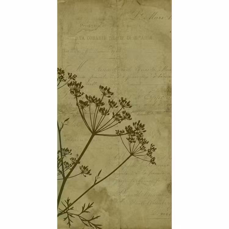 Behang - Bloemen - Schrift - Groen β 2