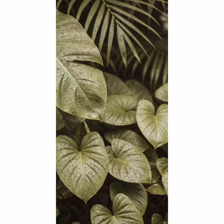 Behang - Groene bladeren - Natuur β 2