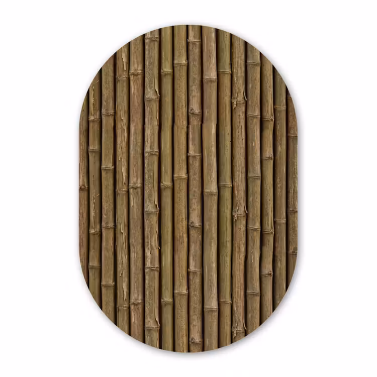 Muurovaal - Glas - Bamboe - Stengels - Natuur — 1
