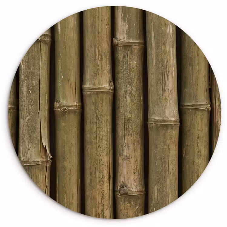 Muurcirkel - Bamboe - Stengels - Natuur — 1