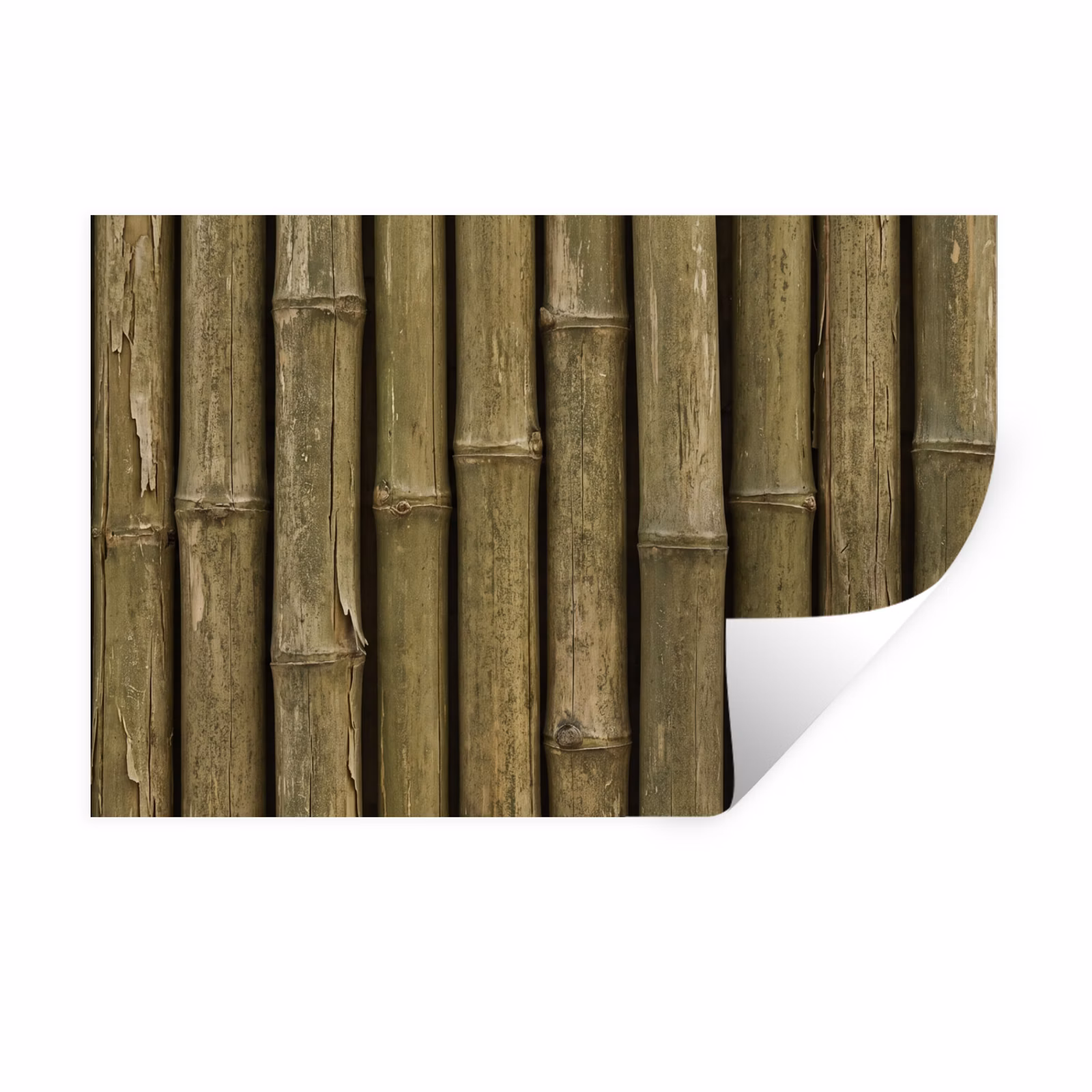 Muursticker - Bamboe - Stengels - Natuur — 1