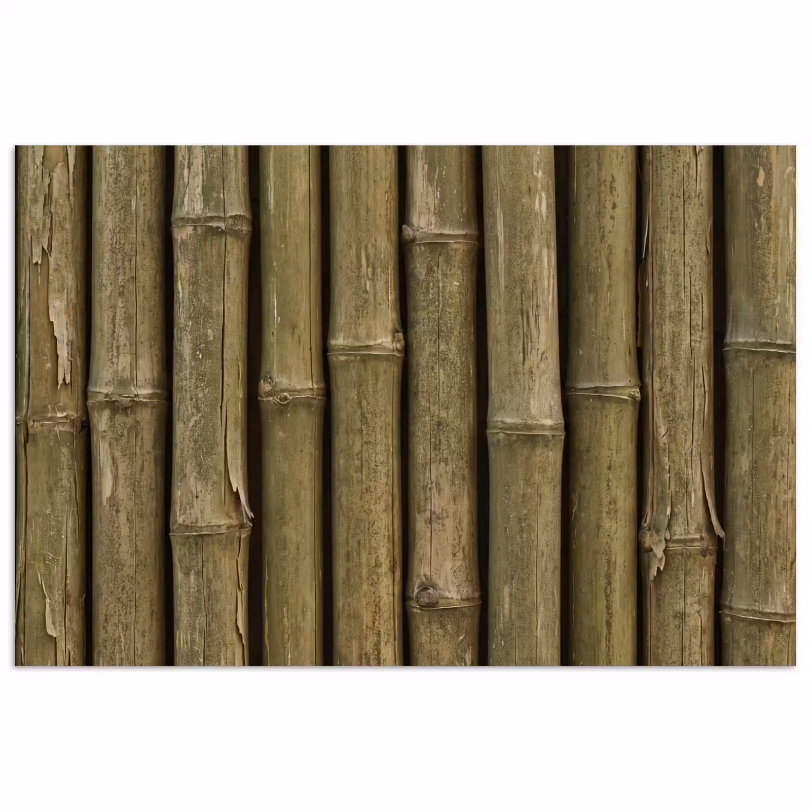Poster - Bamboe - Stengels - Natuur — 1