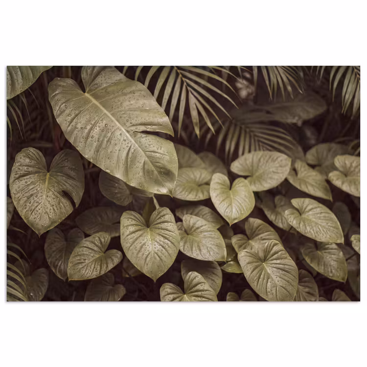 Poster - Groene bladeren - Natuur — 1