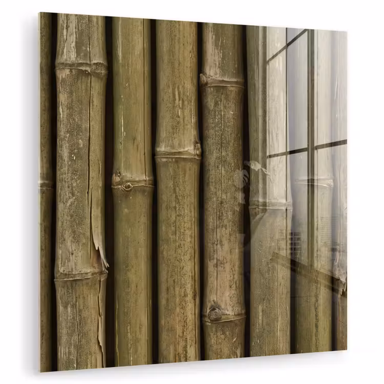 Glas schilderij - Bamboe - Stengels - Natuur — 1