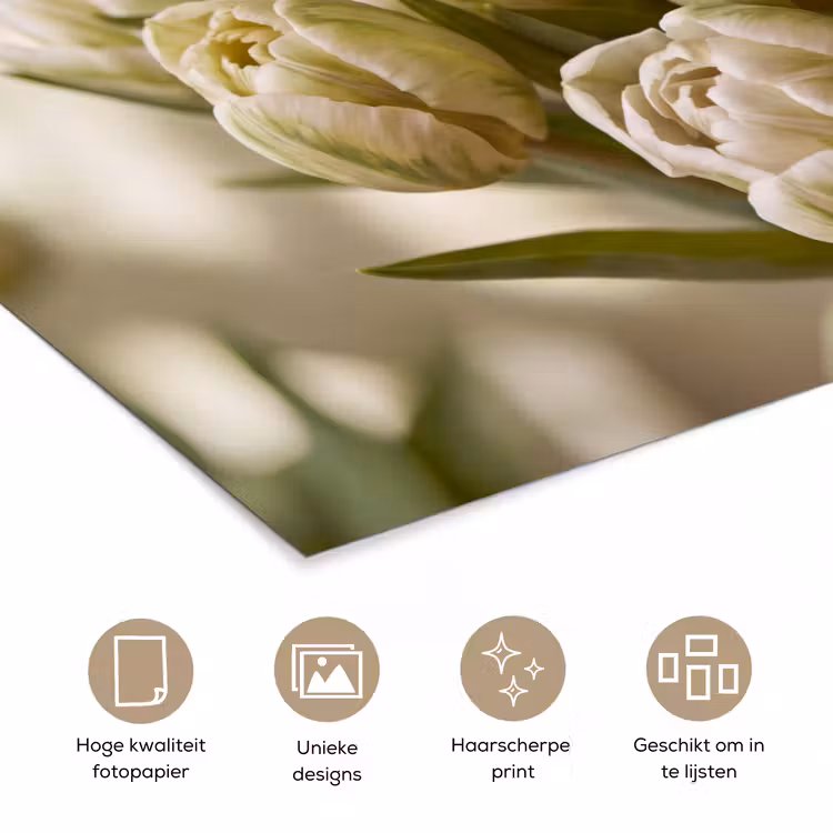 Poster - Bloemen - Groen - Natuur — 5