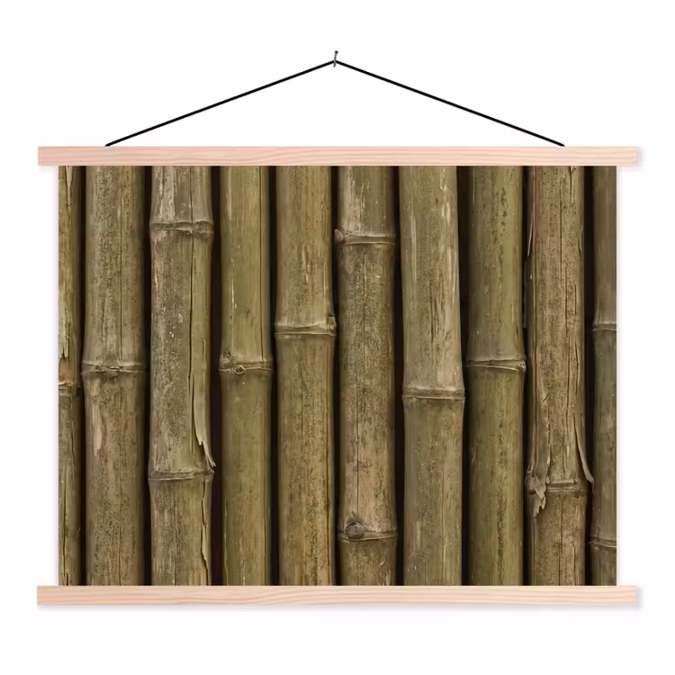 Schoolplaat - Bamboe - Stengels - Natuur — 1
