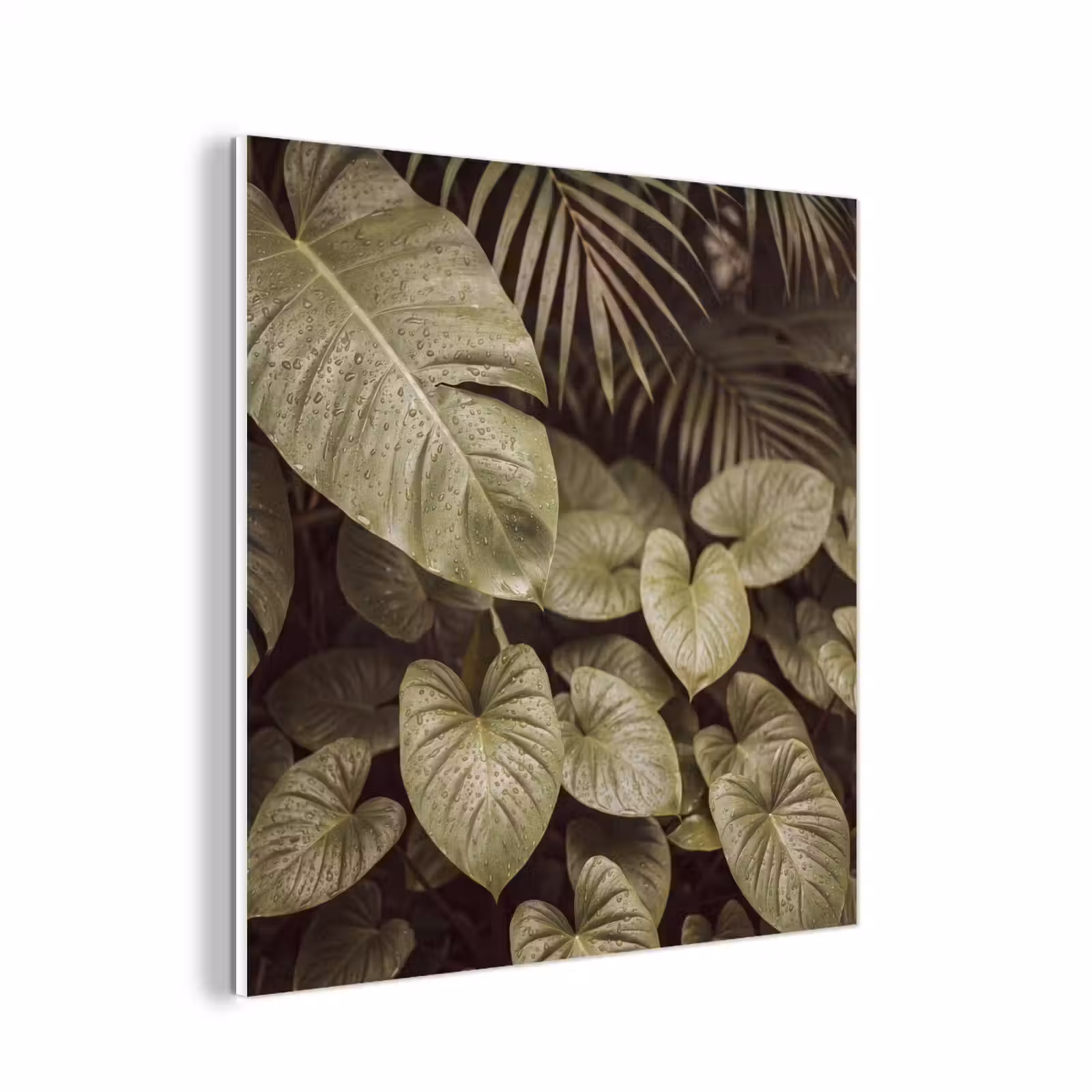 Forex - Groene bladeren - Natuur — 1