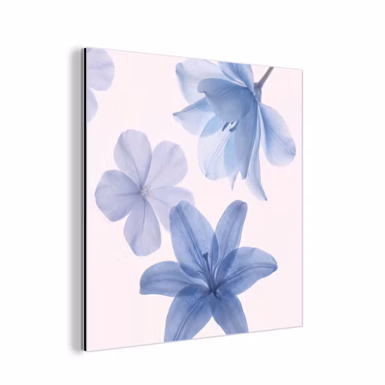 Aluminium schilderij - Bloemen - Transparant - Modern — 1