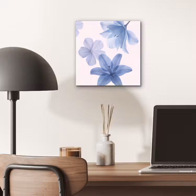 Aluminium schilderij - Bloemen - Transparant - Modern — 6