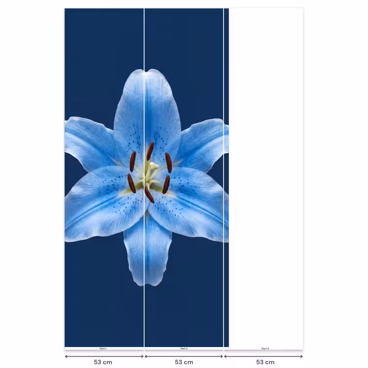 Behang - Blauwe lelie - Bloemen — 6