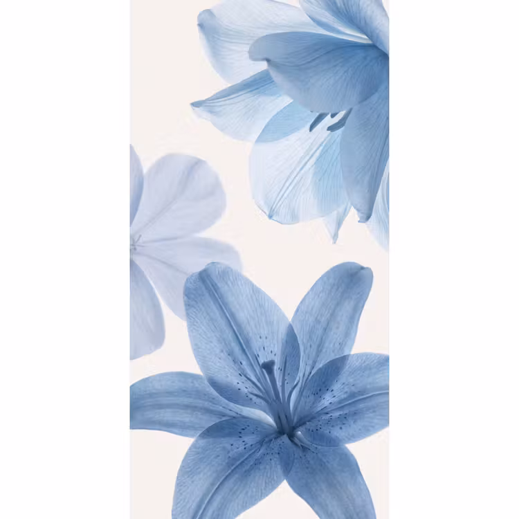 Behang - Bloemen - Transparant - Modern β 2