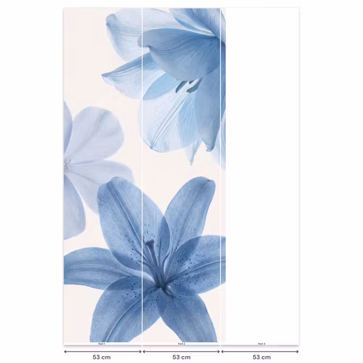 Behang - Bloemen - Transparant - Modern β 6