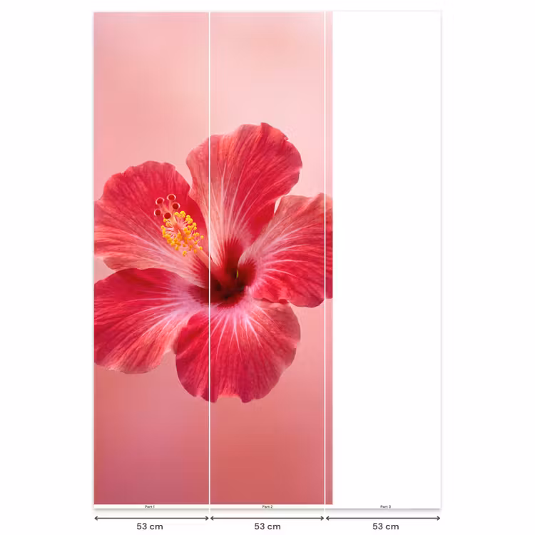 Behang - Rode bloem - Natuur β 6
